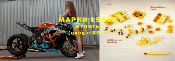 ПСИЛОЦИБИНОВЫЕ ГРИБЫ Аркадак