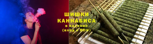 тгк Новозыбков