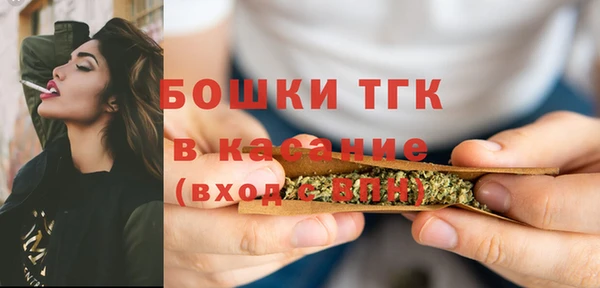 гидра Арсеньев