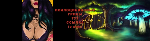 гидра Арсеньев