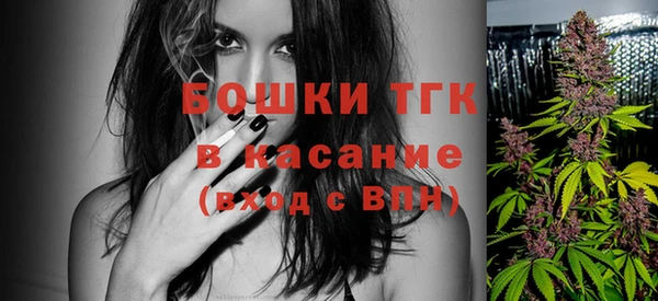 тгк Новозыбков