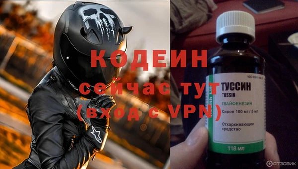 гидра Арсеньев