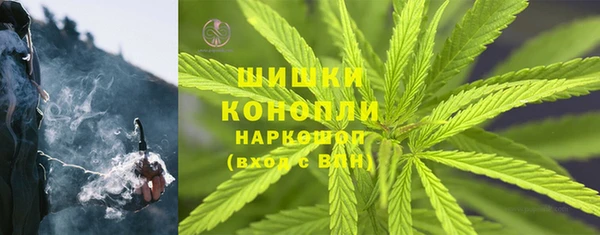 гидра Арсеньев