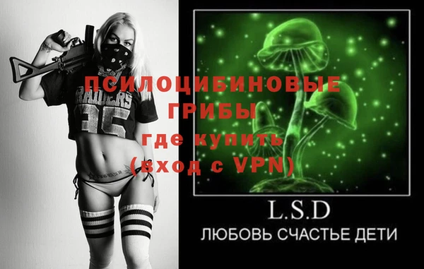 ПСИЛОЦИБИНОВЫЕ ГРИБЫ Аркадак
